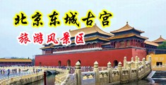 大鸡巴肏屄视频！中国北京-东城古宫旅游风景区